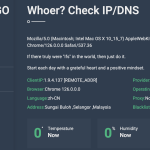 What is IFGO？ Check IPAddress / DNS / ClientInfo